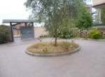 tn_P1000705